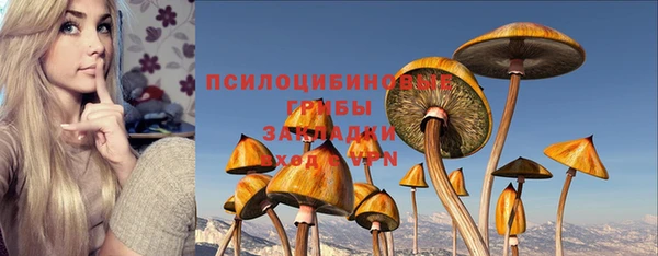 твердый Аркадак