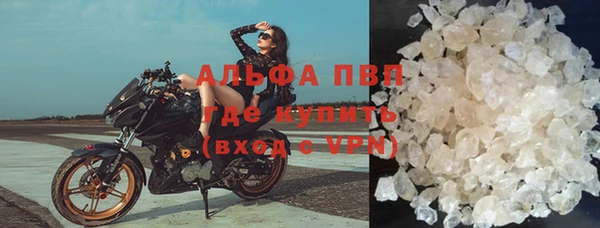 твердый Аркадак